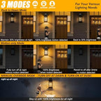 Brilvibera 2-Pack 16" Large Black Outdoor Wall Light - Image 5