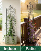 ARIFARO 2 Pack 78"H x 20"W Metal Garden Trellis for Climbing Plants Outdoor - Image 7