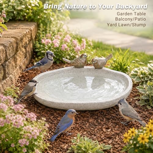 MUMTOP Bird Baths for Outdoor, Resin Garden Ground Birdbath Bowl Yard Decor - Image 2