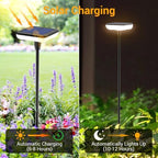 Solar Lights Outdoor Pathway 8 Pack IP65 Waterproof 31" Solar Garden Lights 2 Heights Adjustable Auto On/Off Lasting 12H for Walkway Patio Lawn Path Yard Plants Flower Beds Landscape Decor - Image 3