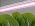 Grow Lights for Indoor Plants Full Spectrum Grow Lights for Seed Starting,4FT Plant Light for Indoor Plants,252W(6x42W 1400W Equivalent) Linkable Design,Greenhouse,Pinkish White,6 Pack - Image 7