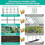 2Packs 17 x 42 Inch Garden Trellis for Raised Beds Foldable Climbing Plant Support Cucumber Trellis Outdoor A-Frame Metal Vegetable Bean Trellis with Garden Supplies for Grape Tomato Peas Flower - Image 2