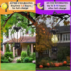 Spider Solar Lantern, Halloween Decorations Outdoor Garden Hanging Lamp - Image 4