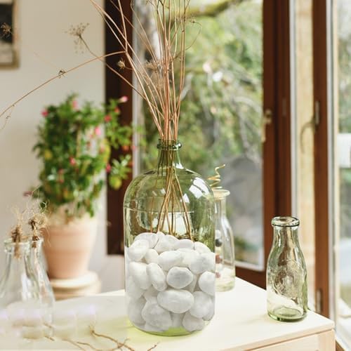 FANTIAN 10 lbs White Gravel for Landscaping, 1-2 Inch Pebbles for Indoor Plants, Decorative River Rocks for Succulent, Vases, Aquariums, Crafting and Garden - Image 5