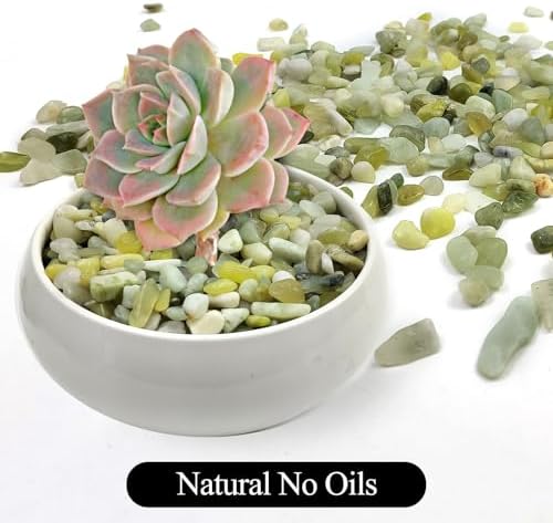 10LB Jade Pebbles for Landscaping, 0.7-1.2 Inch Natural Decorative Stones, Polished River Rocks for Succulent,Planters, Landscaping, Vase, Flowerpot, Indoor Plants and Outdoor Garden Decoration - Image 3