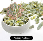 10LB Jade Pebbles for Landscaping, 0.7-1.2 Inch Natural Decorative Stones, Polished River Rocks for Succulent,Planters, Landscaping, Vase, Flowerpot, Indoor Plants and Outdoor Garden Decoration - Image 3