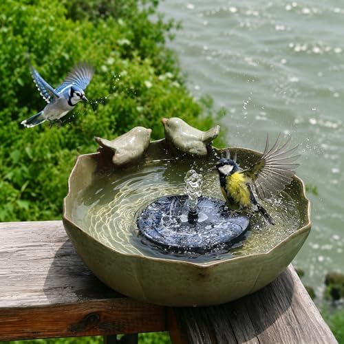 10.1" Solar Powered Bubbler Fountain Bird Bath Bowl for Outdoors by Unknown