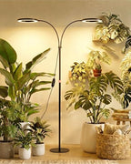 Bamworld Grow Lights for Indoor Plants, 2 Head Full Spectrum Plant Lights by Bamworld