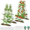 iGreely Heavy Duty Adjustable A-Frame Cucumber Trellis for Climbing Plants,48"x16" Foldable Frame Rust-Proof Metal Trellis with Dense Grid,Perfect for Raised Beds,Garden,Tomatoes (2 Pack) by iGreely