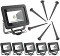 6 Pack 10W Warm White LED Flood Light Outdoor 12V 24V Security Lamp by ZSGoes