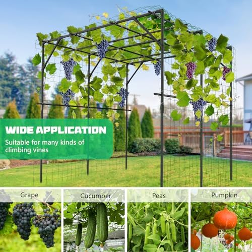 DoCred 79" H x 79" L Garden Arch Trellis, Metal Trellis for Climbing Plants - Image 6