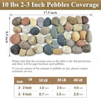 FANTIAN 40 lbs River Rocks for Landscaping, 2-3 Inch Garden Rocks Pebbles - Image 6