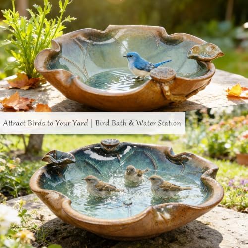 Ceramic Bird Bath and Feeder, Heavy Duty 12.5-Inch Ground Feeding Bowl, Wildlife Water Station for Squirrel Bird Rabbit Bee - Garden, Yard, Balcony Décor - Image 3