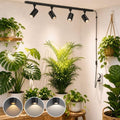 3 CCT LED Track Grow Lights for Indoor Plants, 4x35W, 2 Rails, Black by OTeedo