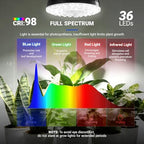 Barrina OG11A Grow Light Bulbs for Indoor Plant, 5000K 11W, 4 Packs, Black - Image 6