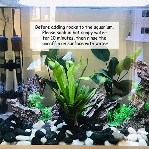 FANTIAN 40 lbs Black River Rock for Landscaping,2-3 Inch Pebble for Plant - Image 5