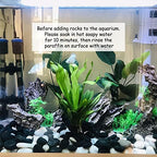 FANTIAN 40 lbs Black River Rock for Landscaping,2-3 Inch Pebble for Plant - Image 5