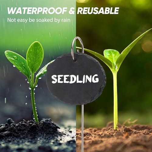 Colingmill 12 Sets Plant Labels Slate Plant Tags Garden Sign Marker Weatherproof Reusable Natural Slate Garden Sign Hanging Tag with Metal Stake and Pen for Outdoor Flower Vegetable(Oval) - Image 4