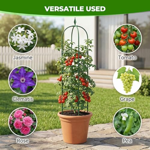 2 Pack Garden Obelisk Trellis for Climbing Plants, 6 FT Metal Rustproof Plant Support Rose Trellis, Tower Potted Cages for Flowers Fruits Vegetable Vines Indoor & Outdoor, Green(4 Tiers) - Image 5