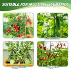 6 Pack Tomato Cage for Garden & Pots, Rust-Resistant Metal Plant Support - Image 6