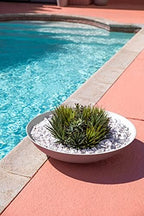 Veradek Mason Series Lane Bowl - Large Outdoor Bowl Planter - Image 7