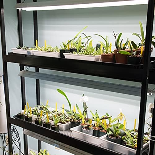 Active Grow Integrated Dual T8 4FT LED Grow Light - T8 Grow Lights for Indoor Plants, Propagation, Leafy Greens & Microgreens - 38W - Sun White Full Spectrum High CRI 95 - Linkable - 120-277V - Image 5