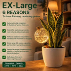 4 Pack 26oz Extra Large Plant Self Watering Globes to 3 Weeks Watering - Image 3