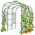 Garden Arch Trellis - 69"L*71"W*87"H, Trellis for Climbing Plants Outdoor by TrellumeGardenHome