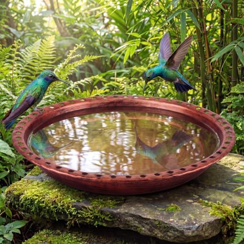 Bird Bath Bowl, Metal Rolled Edge Cutout Bird Bath for Outdoor by Dunkive