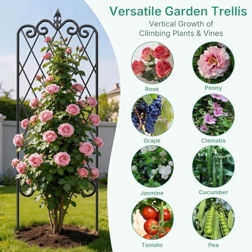 Amagabeli Garden Trellis for Climbing Plants 47” x 16” Rustproof Black Iron Plant Trellis Potted Vines Vegetables Flowers Patio Metal Wire Lattices Grid Panels for Ivy Cucumbers Clematis 2 Pack GT03 - Image 5