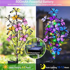 MRHEPHAESTUS Solar Garden Lights Outdoor, Waterproof 2 Pack Solar Butterfly Lights with 60 LED 12 Butterfly Colorful Lighting for Garden Yard Lawn Outdoor Decor, Gift for Mom Women Mother's Day - Image 3