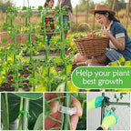 32 x 53 Inch Cucumber Trellis for Climbing Plants Outdoor A-Frame Garden Trellis for Raised Bed Detachable Sturdy Garden Plant Support Trellis for Small Plant Vegetable Flower Grape with Climbing Net - Image 6