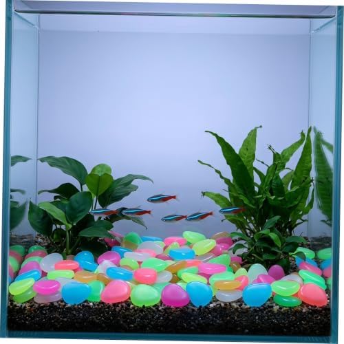 COHEALI 500pcs Glow the Dark Landscaping Pebbles Resin Garden Decorative Stones Recharge in Sunlight, Easy to Use Glowing Yard Stones for Outdoor Landscaping and Pond Random Color - Image 5