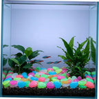 COHEALI 500pcs Glow the Dark Landscaping Pebbles Resin Garden Decorative Stones Recharge in Sunlight, Easy to Use Glowing Yard Stones for Outdoor Landscaping and Pond Random Color - Image 5