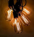 Outdoor Edison Light Bulbs with C9 Black Stringer (ST40 Edison, 25') by HometownEvolutionInc
