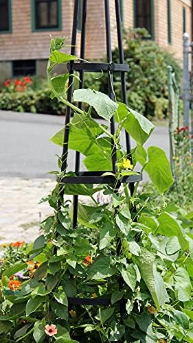 Achla Designs OBL-02A Garden Obelisk, 85" H Trellis, Graphite - Image 3