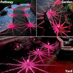 DenicMic Solar Outdoor Lights 10 Pack Pink LED Valentines/Mothers Day Decor - Image 5