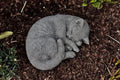 Curled up Sleeping cat Figurine Garden Resting Kitty Statue Cute Concrete cat Sculpture Great Gift for pet Lovers by Unknown