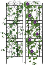 unho 2 Pack 71.6x20in Iron Arch Garden Trellis with Black Metal by unho