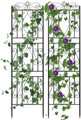unho 2 Pack 71.6x20in Iron Arch Garden Trellis with Black Metal by unho