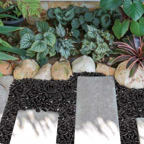 15 lb Black River Rocks for Landscaping, Polished Black Pebbles for Potted Plants & Vases, Large 1-2 Inch Decorative Stones for Garden Beds, Planters & Aquariums Decor - Image 6