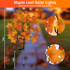 TORONTOKYO 8 Pack Fall Solar Outdoor Lights, Fall Decor 160 LED Maple Leaves Solar Stake Light with 8 Modes, Waterproof Fall Garden Lights Thanksgiving Decorations for Autumn Yard Pathway Outside - Image 2