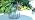 Bdor Hanging Solar Lantern Outdoor Waterproof Black Metal Solar Light - Image 7