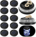 Retisee 12 Pack 3.15 Inch Solar Replacement Tops with 30 LEDs, Waterproof Silicone Lid, Fairy String Lights for Outdoor Garden Lanterns & DIY Decor (White) by Retisee