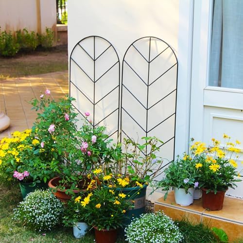 2 Pack Black Metal Garden Trellis 45"H x 15.9"W for Climbing Plants - Image 2