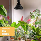 Hanging Grow Lights for Indoor Plants, 25W 5000K, LED Light Bulbs - Image 2