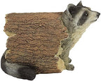 Design Toscano Bandit the Raccoon Indoor/Outdoor Garden Animal Statue, 10 - Image 5