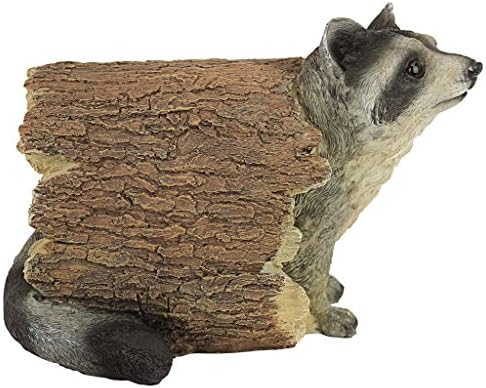Design Toscano Bandit the Raccoon Indoor/Outdoor Garden Animal Statue, 10 - Image 5