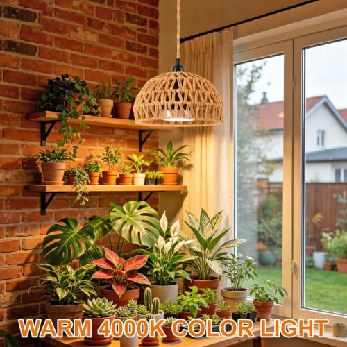 9in Hanging Grow Light for Indoor Plants, 30W Full Spectrum Plant Light - Image 7