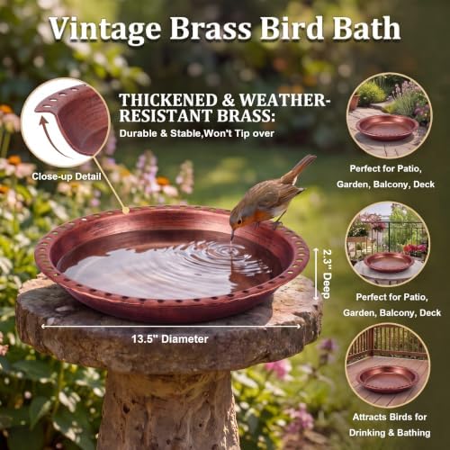 Bird Bath Bowl, Metal Rolled Edge Cutout Bird Bath for Outdoor - Image 2